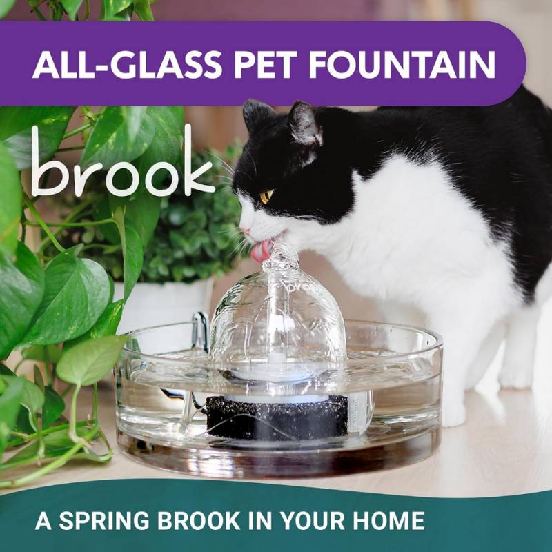 Brook All-Glass Pet Fountain