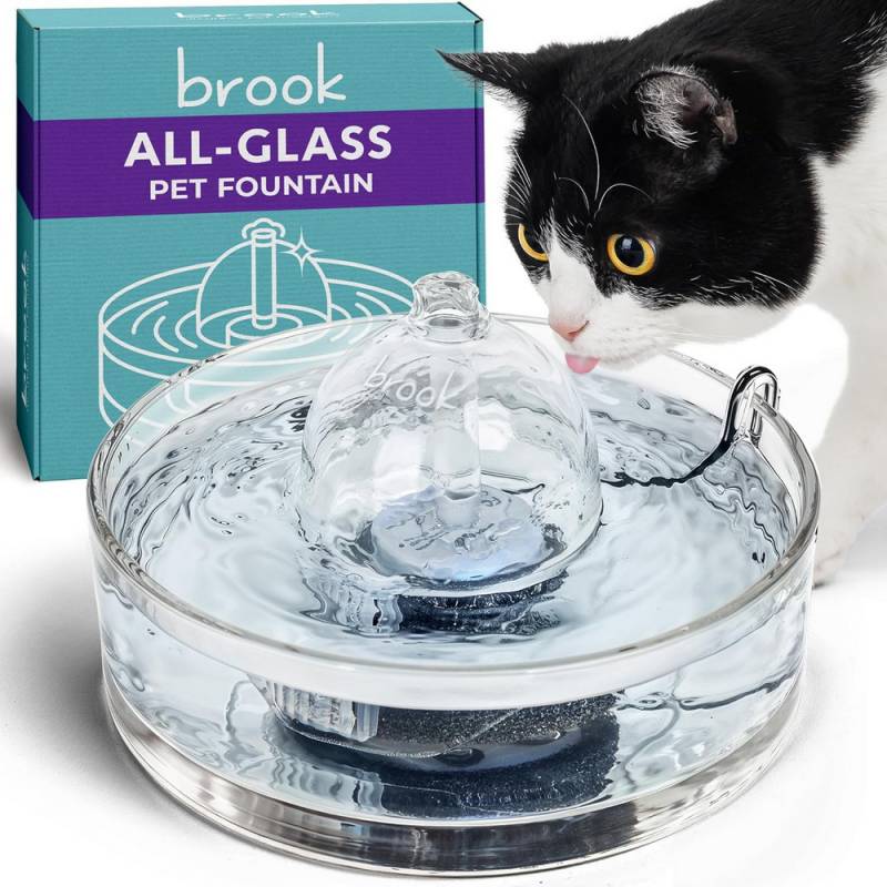 Brook All-Glass Pet Fountain