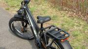 Heybike Alpha