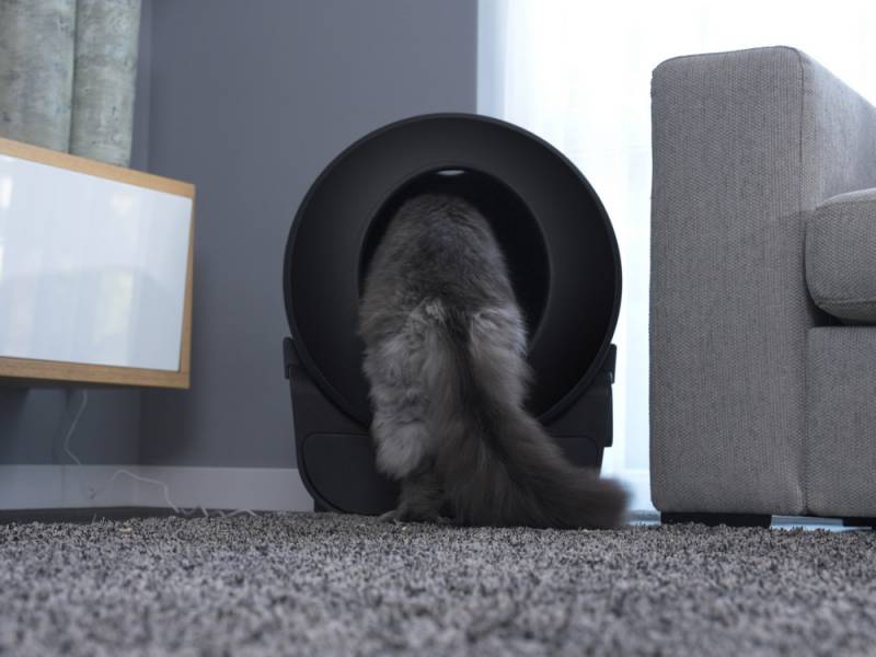PETLUX V3