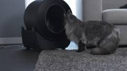 PETLUX V3