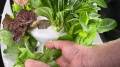 Plantaform Smart Indoor Garden
