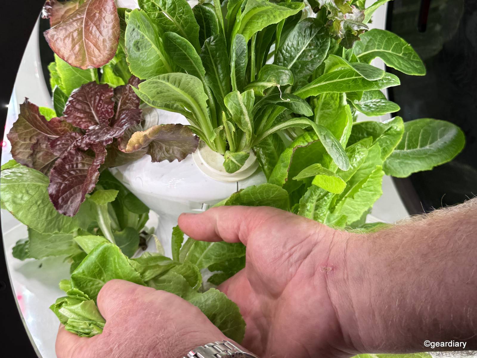 Plantaform Smart Indoor Garden