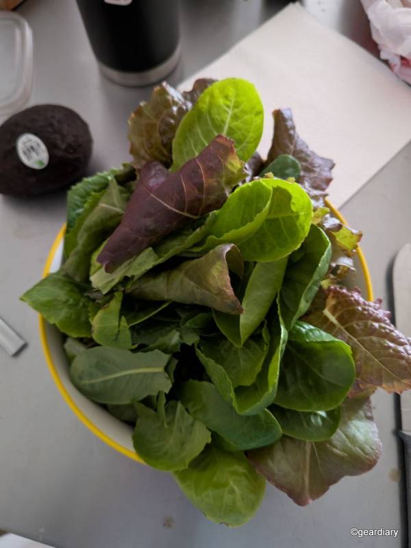Plantaform Indoor Smart Garden 04-18-2025