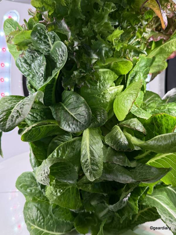 Plantaform Indoor Smart Garden 05-14-2025