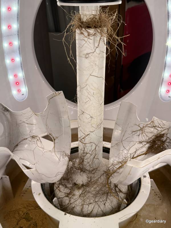 Plantaform Indoor Smart Garden