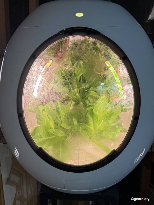 Plantaform Smart Indoor Garden 04-30-25