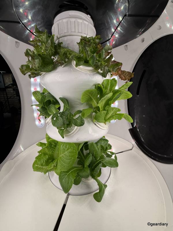 Plantaform Indoor Smart Garden 04-23-2026