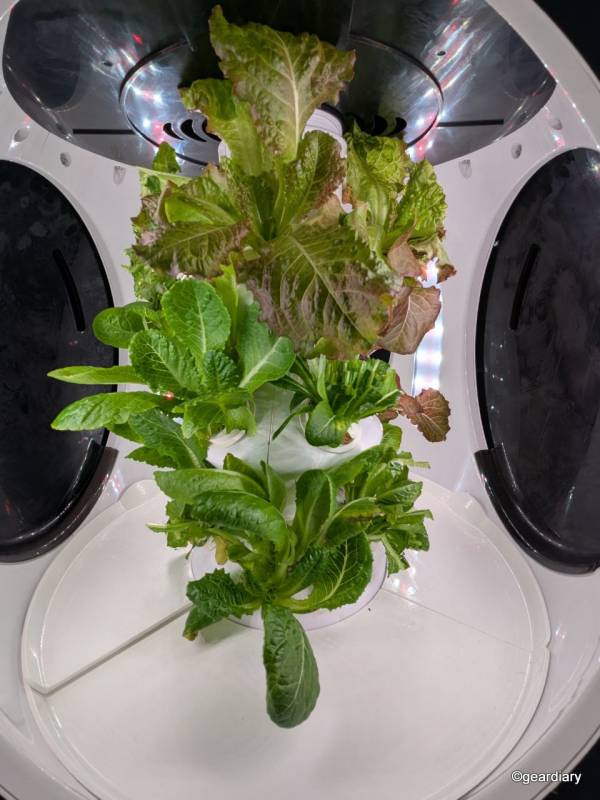 Plantaform Smart Indoor Garden 04-24-2025