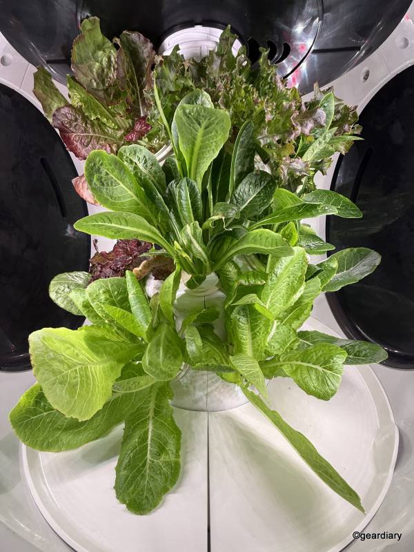 Plantaform Smart Indoor Garden 04-30-2025