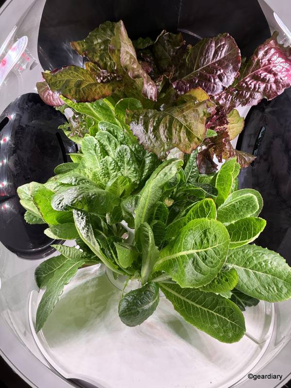 Plantaform Smart Indoor Garden 05-06-2025