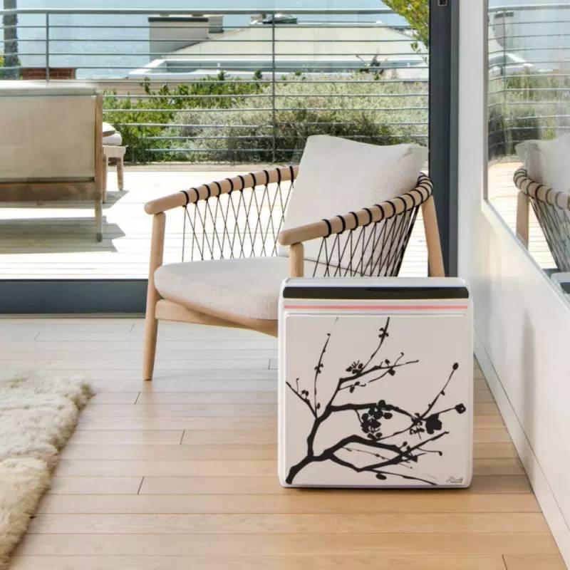 Rabbit Air A3 Air Purifier with the New Dual Hive Filter