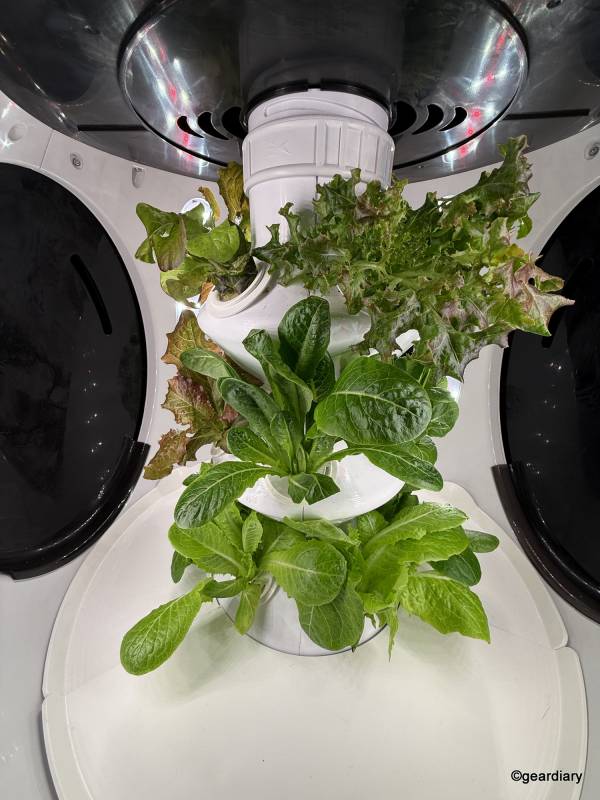Plantaform Indoor Smart Garden 04-17-2028