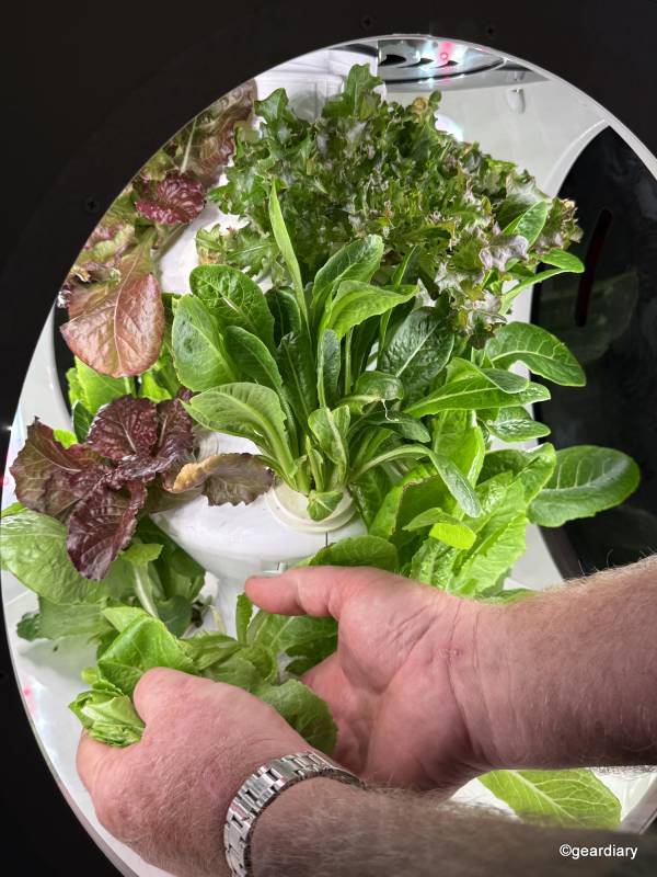 Plantaform Smart Indoor Garden 04-30-2025