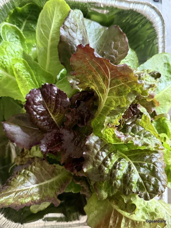 Plantaform Smart Indoor Garden 05-06-2026