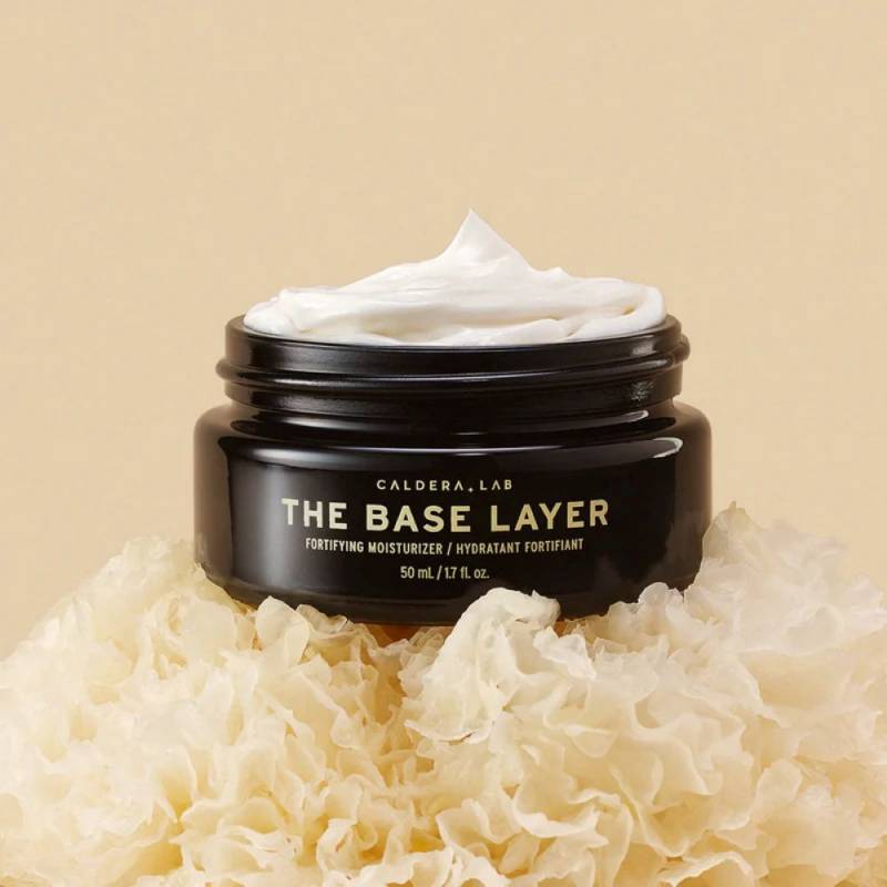 The Base Layer