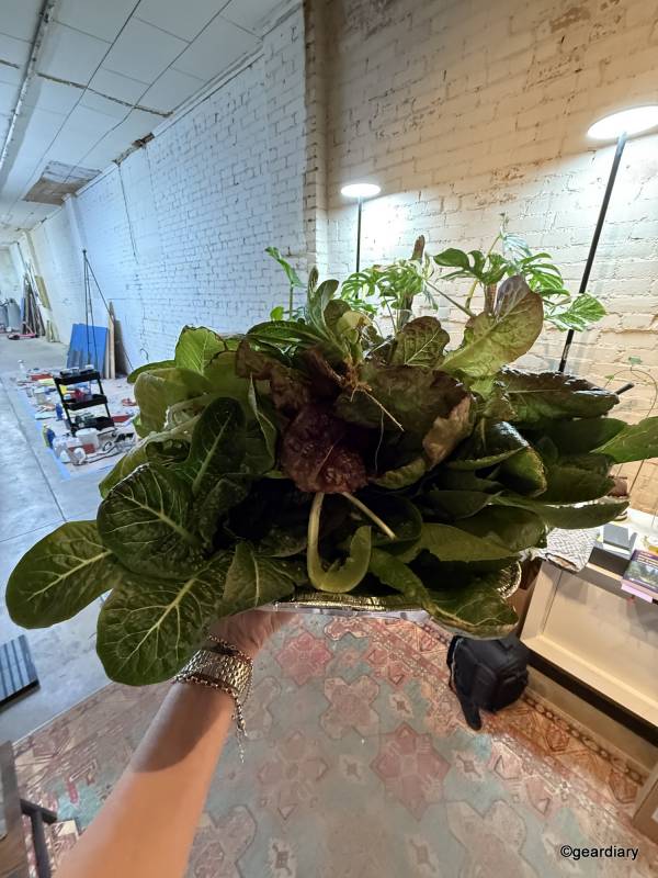 Plantaform Indoor Smart Garden 05-14-2025