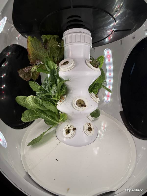 Plantaform Smart Indoor Garden 05-06-2025
