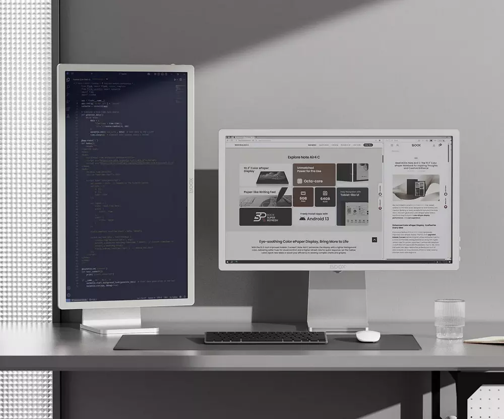 25.3'' BOOX Mira Pro E Ink Monitors (Color Version) – The