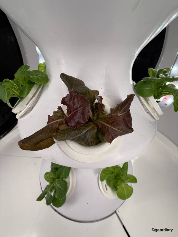 Plantaform Smart Indoor Garden 04-06-2026
