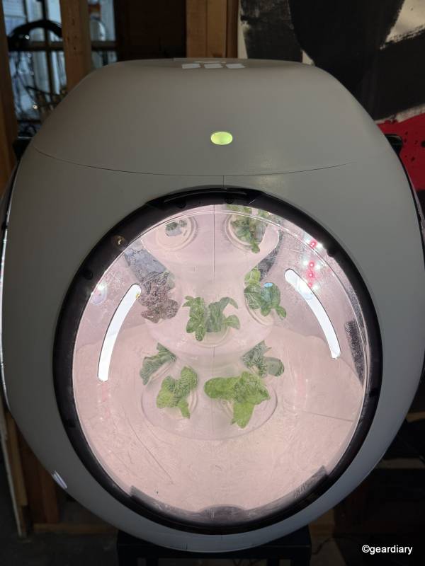 Plantaform Smart Indoor Garden 04-08-2026