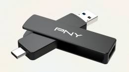 PNY Duo Link V3