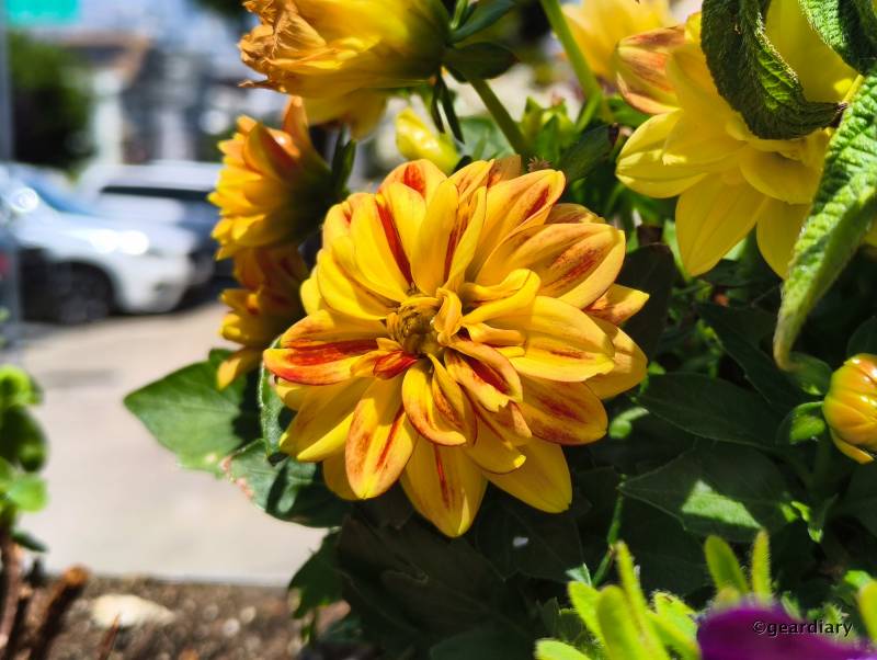 Photos taken with the Nothing CMF Phone 2 Pro