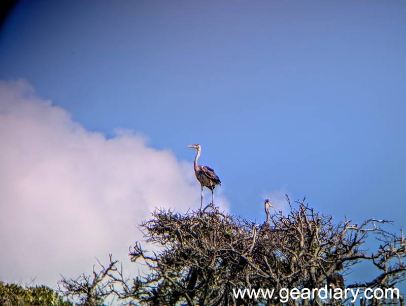 Photo taken with a smartphone and the Nocs Field Issue 8x32 Binoculars 