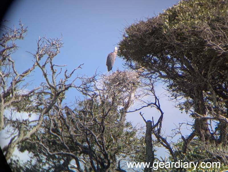 Photo taken using a smartphone paired with the Nocs Field Issue 8x32 Binoculars 