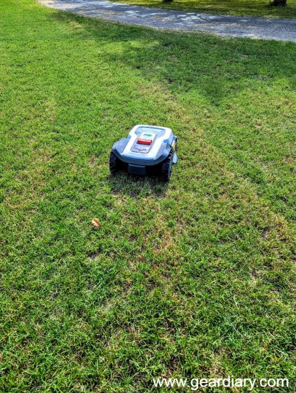 RoboUP T1200 Pro on the author's lawn