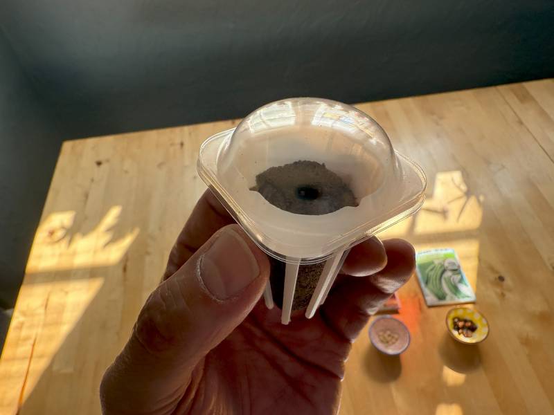 Sainlogic HY01 LED Hydroponics System Review: The (Almost) Perfect Indoor Seed Germinator 8 Setting up the Sainlogic HY01 LED Hydroponics System