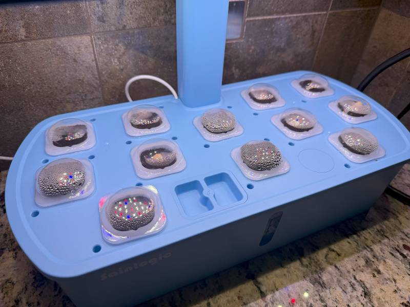 Sainlogic HY01 LED Hydroponics System Review: The (Almost) Perfect Indoor Seed Germinator 12 Sainlogic HY01 LED Hydroponics System