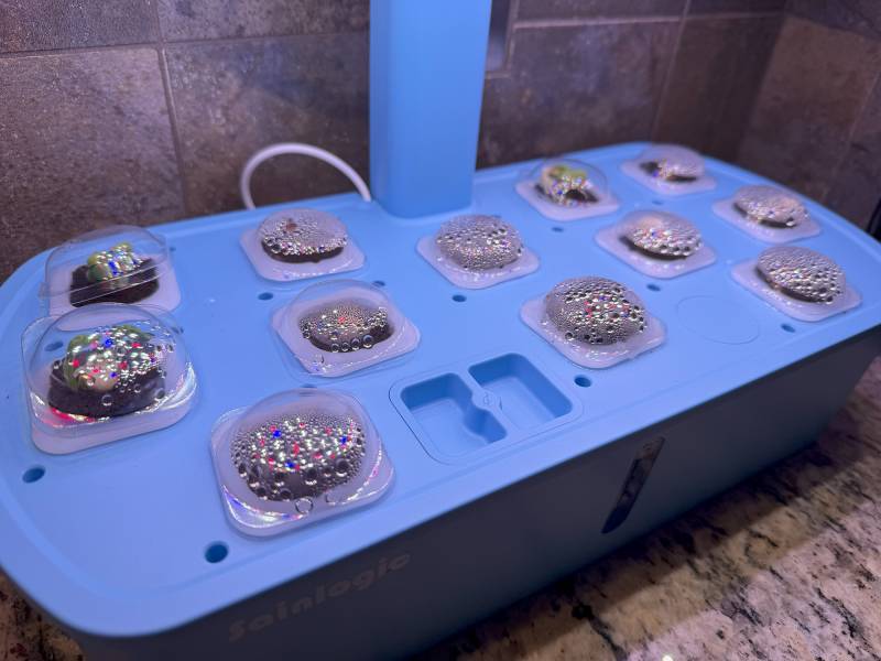 Sainlogic HY01 LED Hydroponics System Review: The (Almost) Perfect Indoor Seed Germinator 13 Sainlogic HY01 LED Hydroponics System