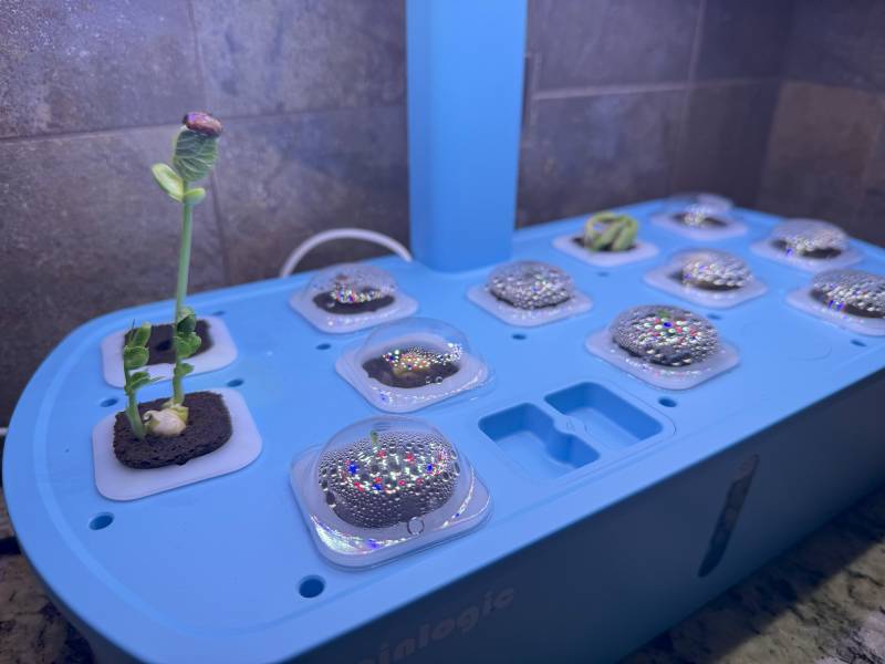 Sainlogic HY01 LED Hydroponics System Review: The (Almost) Perfect Indoor Seed Germinator 14 Sainlogic HY01 LED Hydroponics System