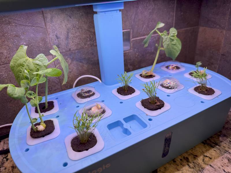 Sainlogic HY01 LED Hydroponics System Review: The (Almost) Perfect Indoor Seed Germinator 15 Sainlogic HY01 LED Hydroponics System