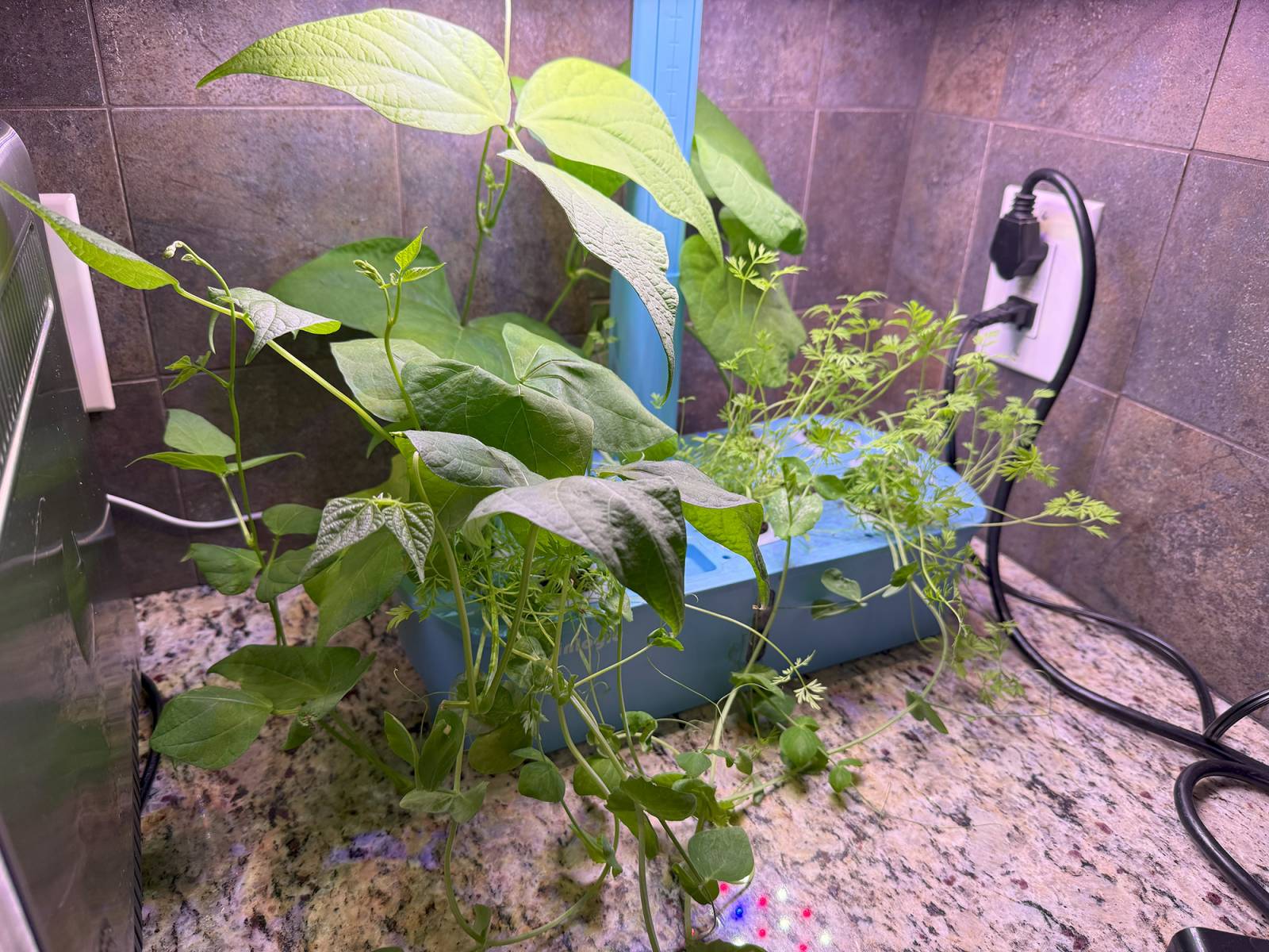 Sainlogic HY01 Hydroponics System