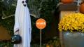 Holiday Approach Chime Vivint