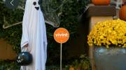 Holiday Approach Chime Vivint