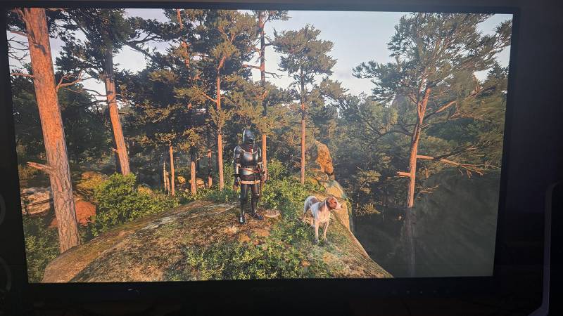 INNOCN 25G2S Gaming Monitor Review: A 240Hz QHD 2K Gaming Monitor on a Budget 14 Editing photos on the INNOCN 25G2S Gaming Monitor