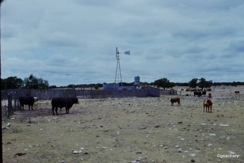 Photos scanned with the HP FilmScan 5 TouchScreen Film Scanner