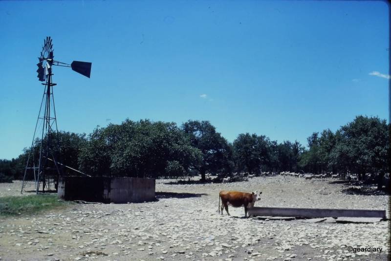 Photos scanned with the HP FilmScan 5 TouchScreen Film Scanner
