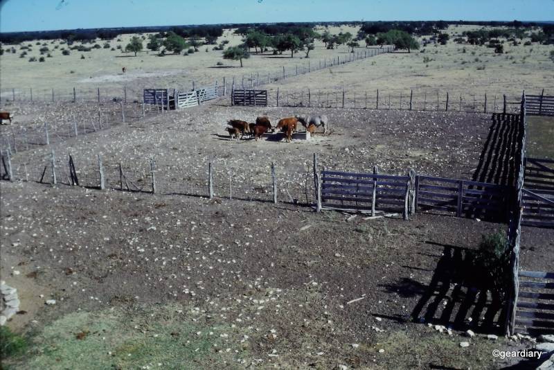 Photos scanned with the HP FilmScan 5 TouchScreen Film Scanner
