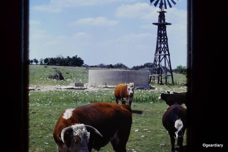 Photos scanned with the HP FilmScan 5 TouchScreen Film Scanner
