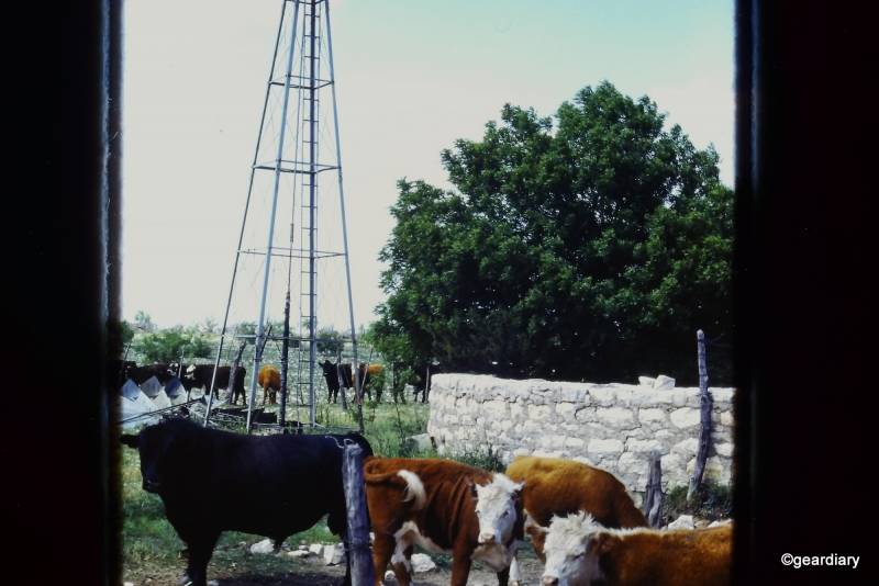 Photos scanned with the HP FilmScan 5 TouchScreen Film Scanner