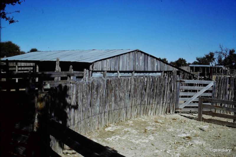 Photos scanned with the HP FilmScan 5 TouchScreen Film Scanner