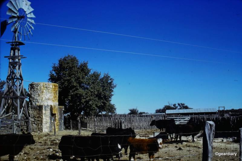Photos scanned with the HP FilmScan 5 TouchScreen Film Scanner