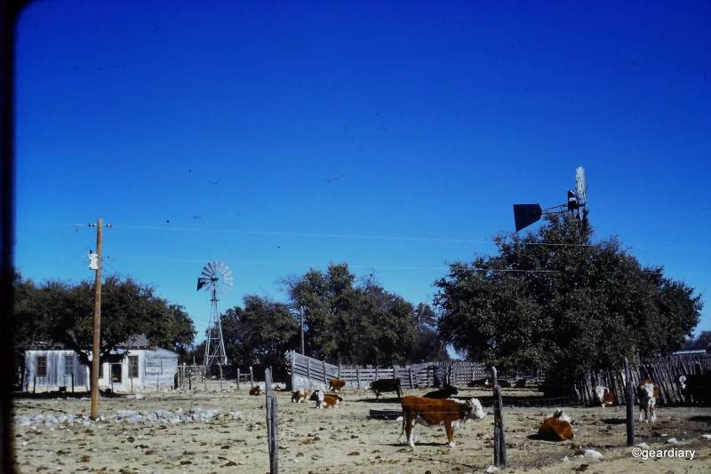 Photos scanned with the HP FilmScan 5 TouchScreen Film Scanner