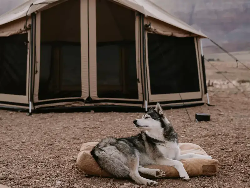 Gear Diary’s 2025 Holiday Gift Guide & Giveaway: Trail-Tested Gifts for Campers, Overlanders, and Outdoors Diehards 74 Altimus Bell Tent