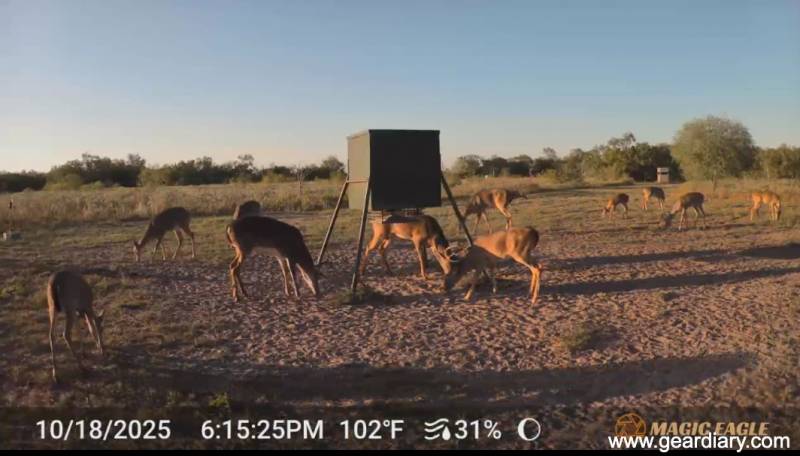 Magic Eagle Eaglecam 5: A No-SIM 4G Trail Camera With Solar Power, Live Video, and Smart AI Tracking 5 Scene shot with the Magic Eagle Eaglecam 5 Smart 4G Trail Camera