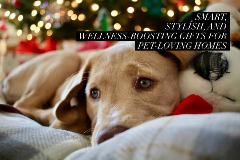 Click this photo to be taken to Gear Diary’s 2025 Holiday Gift Guide: Smart, Stylish, and Wellness-Boosting Gifts for Pet-Loving Homes